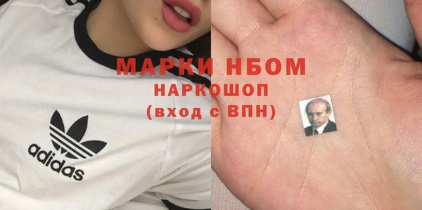 прущие грибы Алексеевка