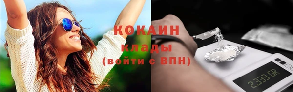 соль ск Алексин