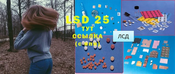 прущие грибы Алексеевка