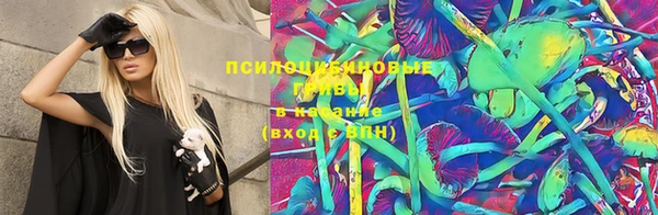 прущие грибы Алексеевка
